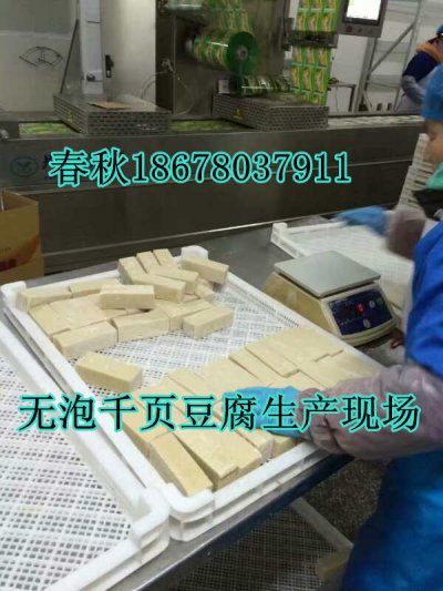 無泡千頁豆腐設(shè)備春秋技術(shù)免費