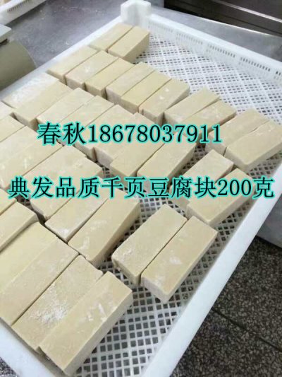 千頁豆腐無泡塊生產(chǎn)技術(shù)工藝真空去泡機