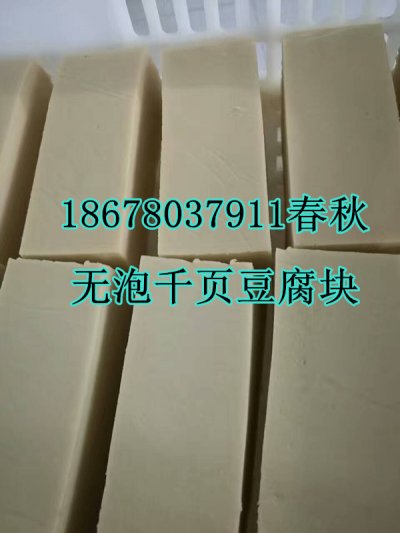 千頁豆腐無泡技術(shù)，千頁豆腐無泡設(shè)備春秋免費