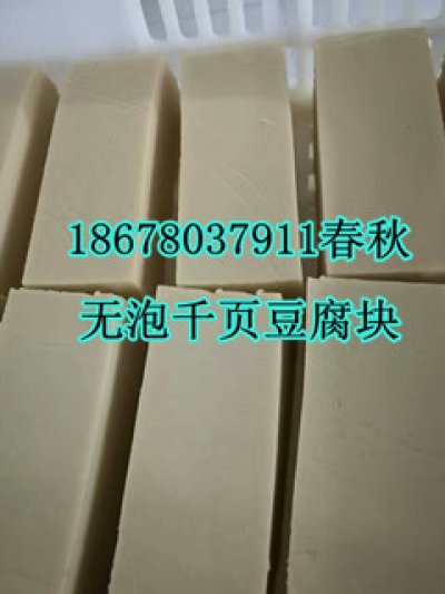 千頁豆腐無泡設備真空去泡機真空抽漿機春秋專