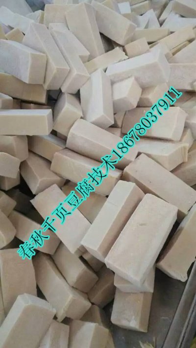 千頁豆腐真空抽漿機千頁豆腐去泡機春秋免費技
